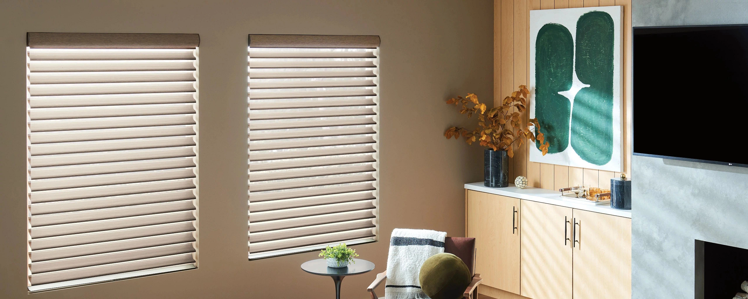 Sheer Shades on two living room windows