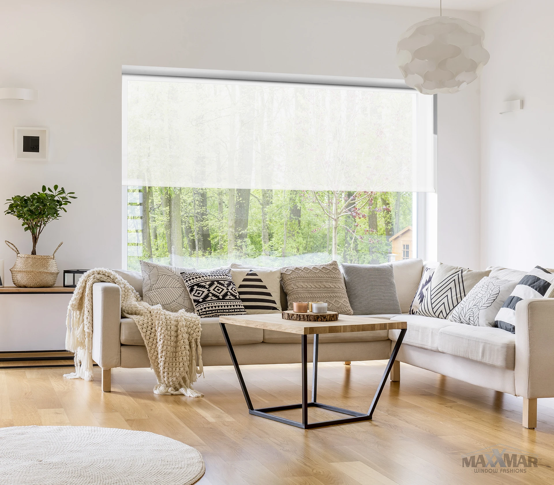 Maxxmar Roller Shades: window-covering example.