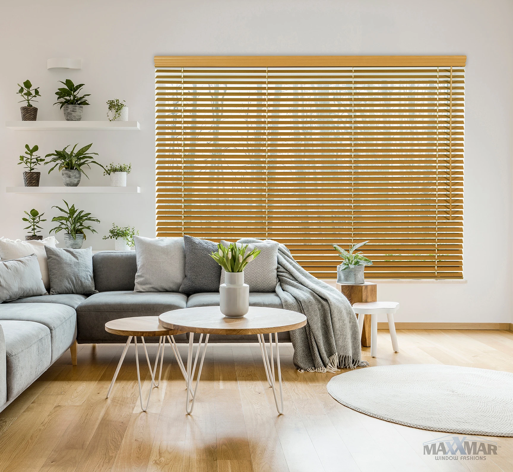 Maxxmar 2" Wood Blinds: window-covering example.