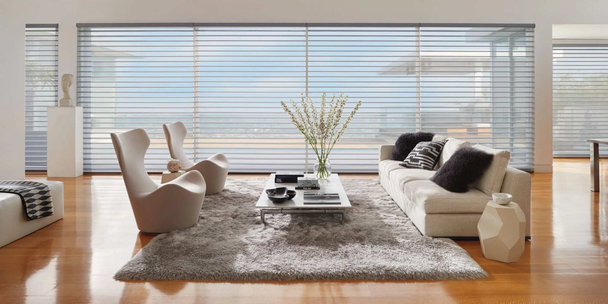 Hunter Douglas Silhouette® Window Shadings at the window.